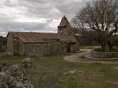 Cozcurrita
